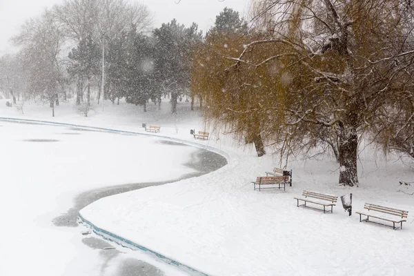 Vista Fuerte Tormenta Nieve Parque Ciudad —  Fotos de Stock