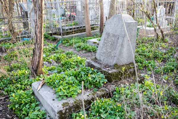 Veduta Delle Lapidi Nel Vecchio Cimitero — Foto Stock