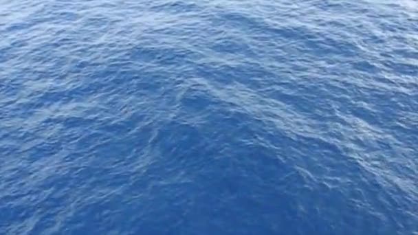 Μπλε Κύματα Στον Ωκεανό Βίντεο — Αρχείο Βίντεο