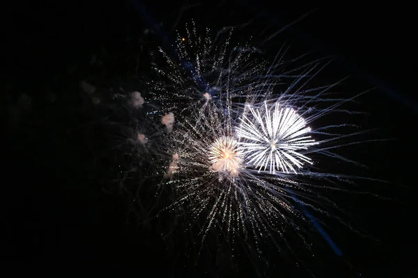 夜の空で爆発する花火のビュー — ストック写真