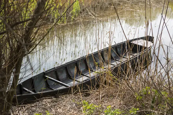 Altes Holzboot Ufer Des Flusses — Stockfoto