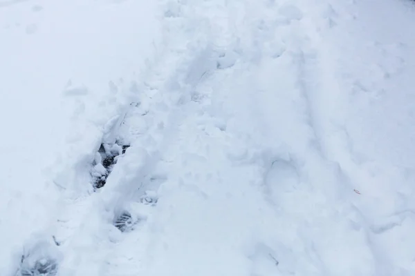 Gros Plan Des Empreintes Pas Sur Neige Fraîche — Photo