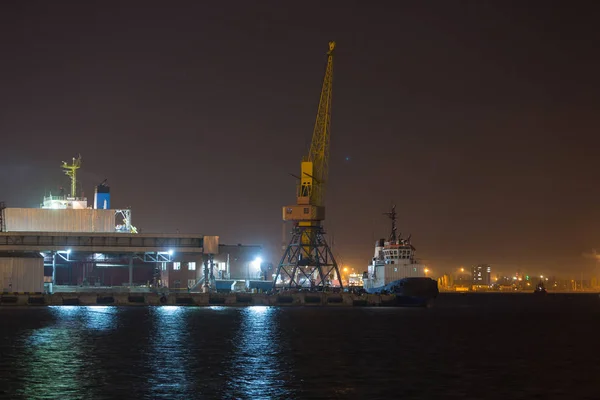 Port terminal of bulk cargo at night time. Industrial port at night