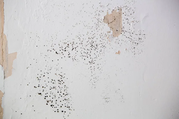 Old Wall Scratches — Stock Photo, Image