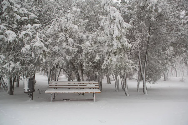 Banco Vacío Parque Nevado Invierno —  Fotos de Stock