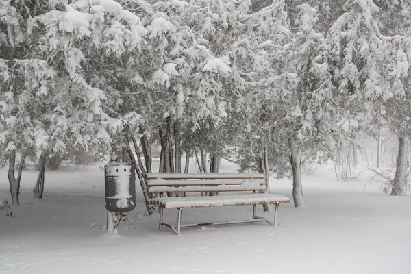 Banco Vacío Parque Nevado Invierno —  Fotos de Stock