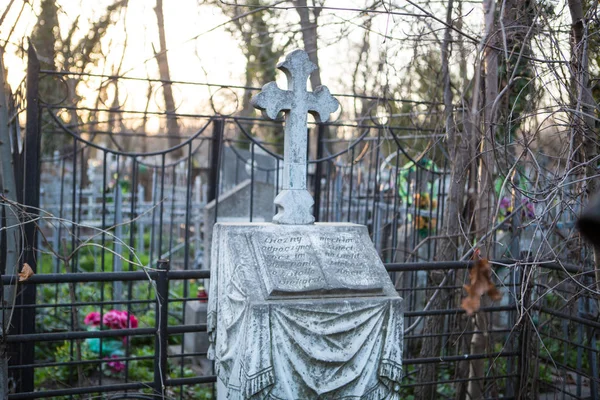 Veduta Delle Lapidi Nel Vecchio Cimitero — Foto Stock