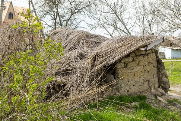 Vieille Maison Ruine Ruines Une Maison Faite Coquillages Paille Argile — Photo