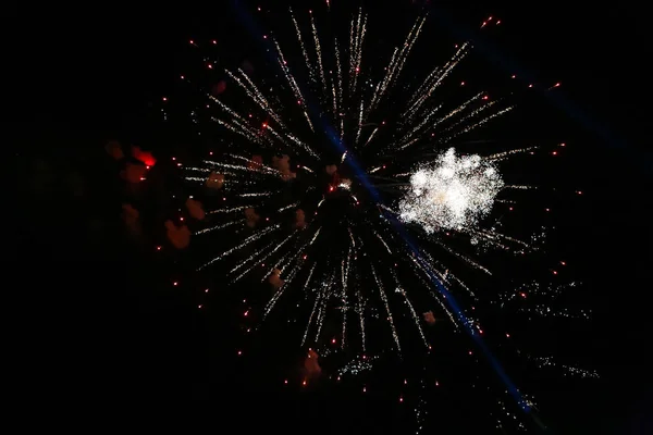 View Fireworks Exploding Night Sky — Stock Photo, Image