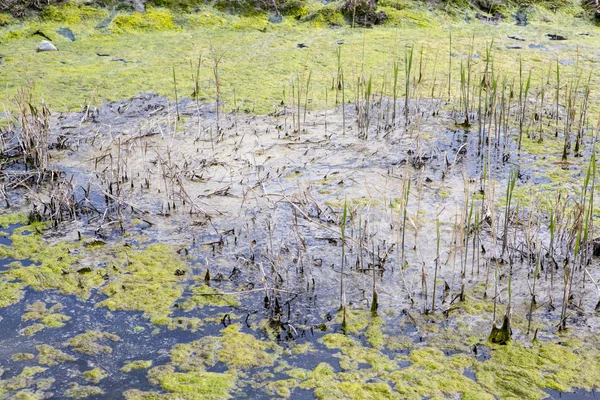 Schmutzwasser Umweltkatastrophe Der Fluss Ist Durch Plastikflaschen Mit Radreifen Motoröl — Stockfoto