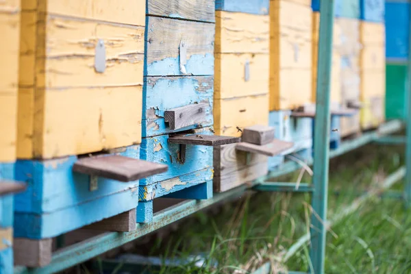Close Old Wooden Beehives Lawn — Stock Photo, Image