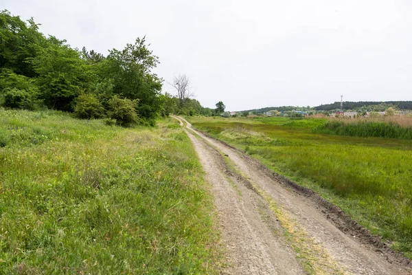 Uitzicht Lege Landelijke Weg Het Veld — Stockfoto