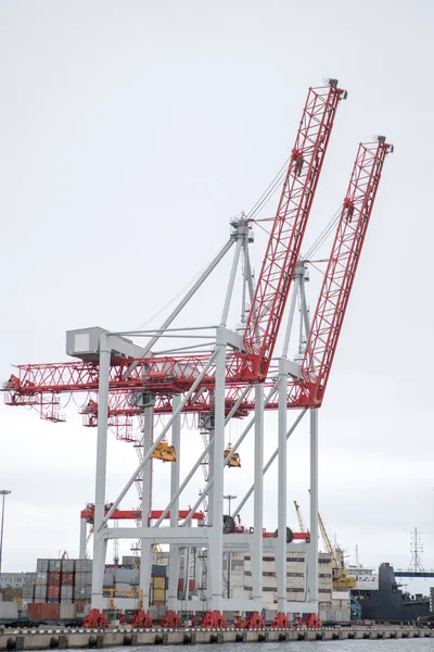 Vista Del Puerto Industrial Con Contenedores Luz Del Día — Foto de Stock