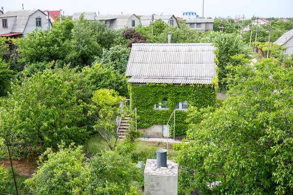 农村房子与葡萄植物交织在一起 — 图库照片