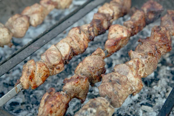 Gros Plan Sur Barbecue Kebab Frit Viande Porc — Photo