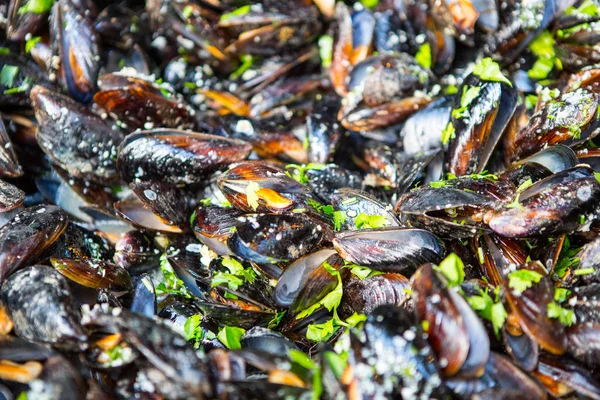 Moules Sur Assiette Délicatesse Fruits Mer — Photo