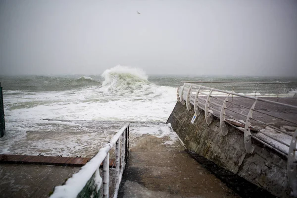 冬の海の海岸の嵐の風光明媚なビュー — ストック写真