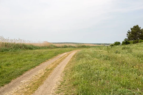 Uitzicht Lege Landelijke Weg Het Veld — Stockfoto