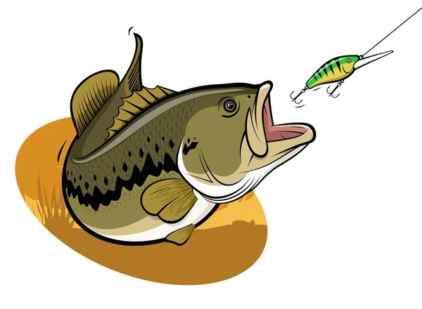 Large Mouth Black Bass Attacking Bait — Stock Vector