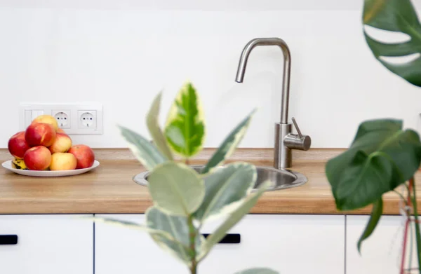 Modern white u-shaped kitchen in scandinavian style. Open shelves in the kitchen with plants and jars. Spring decoration