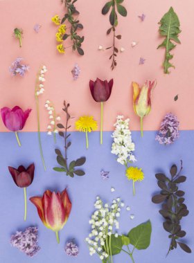 vazo izole çiçek güzel buket