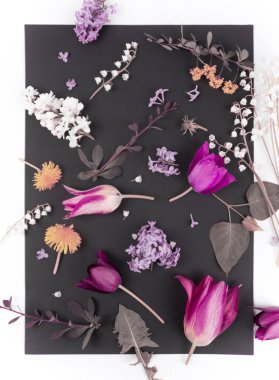 vazo izole çiçek güzel buket