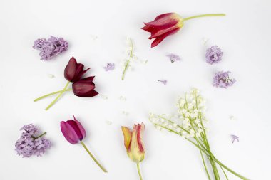 vazo izole çiçek güzel buket