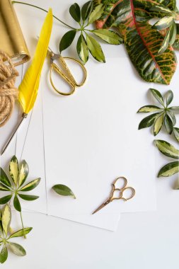 Boş kağıt, buruşuk top, kalem, masa arkasında saksı bitkileri.