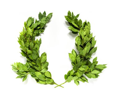 Kurumuş dallardan ve beyaz arka planda izole edilmiş yapraklardan oluşan Laurel çelengi.
