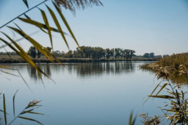 Mavi gökyüzü ile yaz Nehri