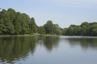 Yazın doğanın, suyun, ağaçların manzarası.