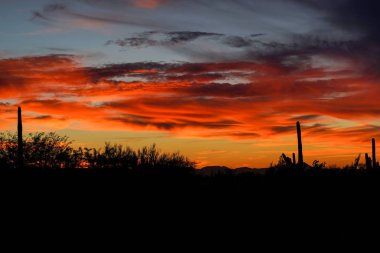Renkli çöl günbatımı