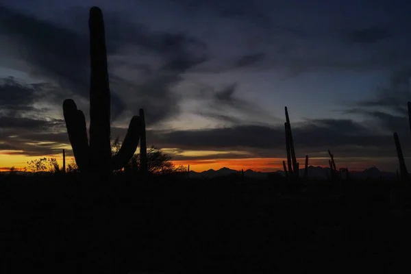 Puesta del sol del desierto en Arizona — Foto de Stock