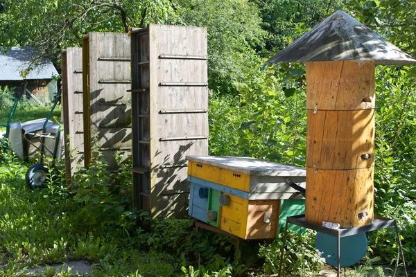 çiçekli bahçede apiary. ev yapımı kurdeşen