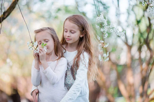 可爱的小女孩在盛开的樱花树花园春日 — 图库照片