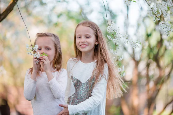 Adorable little girls in blooming cherry tree garden on spring day — Stock Photo, Image