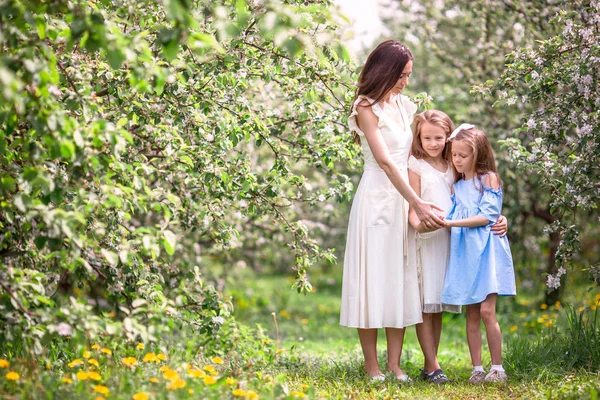 Meninas adoráveis com a jovem mãe em flor cereja jardim no belo dia de primavera — Fotografia de Stock