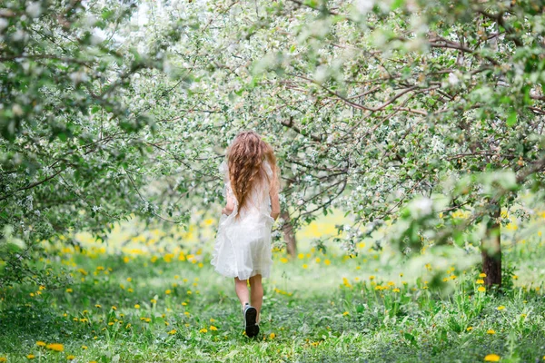 Αξιολάτρευτο κοριτσάκι στον ανθισμένο κήπο με μήλα την όμορφη ανοιξιάτικη μέρα — Φωτογραφία Αρχείου