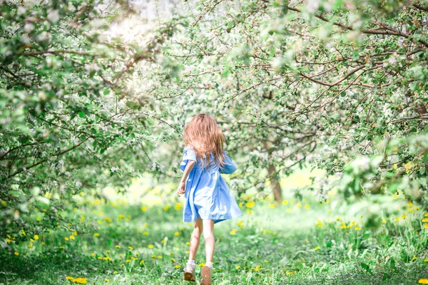 Söt liten flicka i blommande äppelträdgård på vacker vårdag — Stockfoto