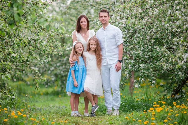 Adorable famille dans un jardin de cerisiers en fleurs le beau jour du printemps — Photo