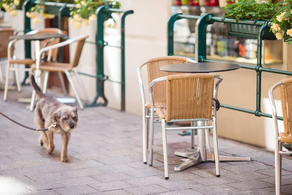 Summer empty open air restaraunt in Europe. — Stock Photo, Image