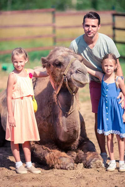 Família com camelos no zoológico no dia de verão quente e ensolarado. Lazer familiar ativo . — Fotografia de Stock