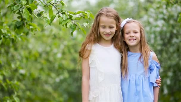 Adorables niñas en el jardín de manzanos en flor en el día de primavera — Vídeo de stock
