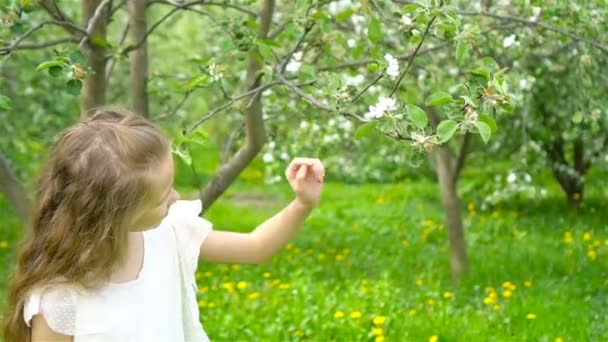 Söt liten flicka i blommande äppelträdgård på vacker vårdag — Stockvideo