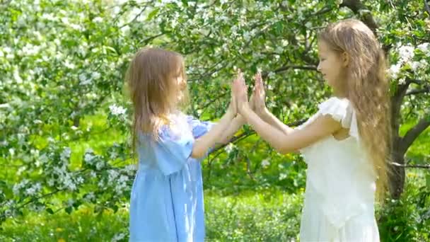 Bahar günü çiçek açan elma bahçesinde sevimli küçük kızlar. — Stok video