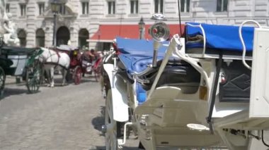 geleneksel at Koç fiaker Viyana Avusturya