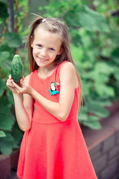 Schattig klein meisje dat komkommers en tomaten oogst in de kas. — Stockfoto
