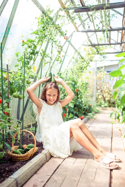 Rozkošná holčička sbírající okurky a rajčata ve skleníku. — Stock fotografie