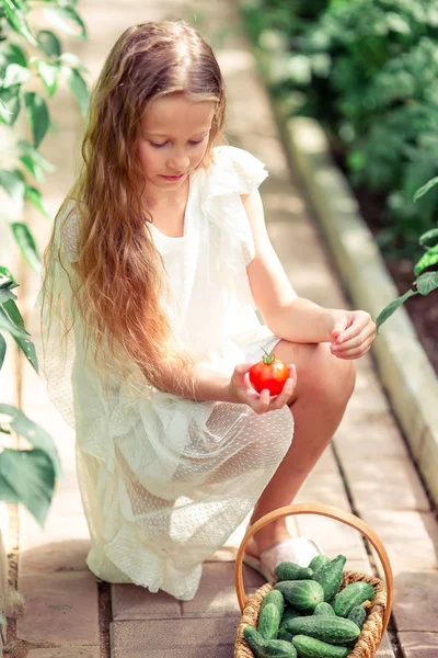 Menina bonito coleta pepinos e tomates na estufa — Fotografia de Stock
