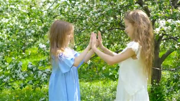 Adorables niñas en el jardín de manzanos en flor en el día de primavera — Vídeo de stock